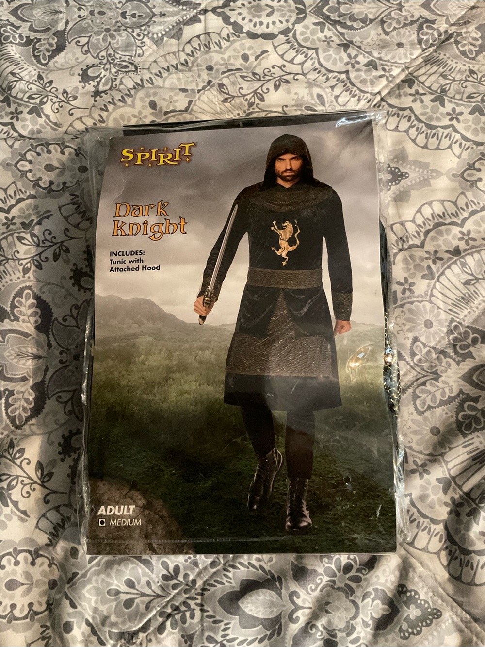 Spirit Dark Knight Costume in Black and Gold Hooded Tunic
